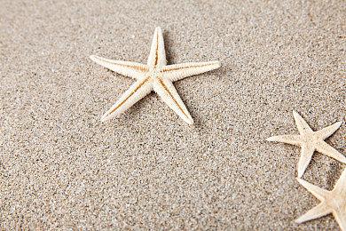 2D类银河恶魔城《春风之刃》登陆多平台 试玩已上线